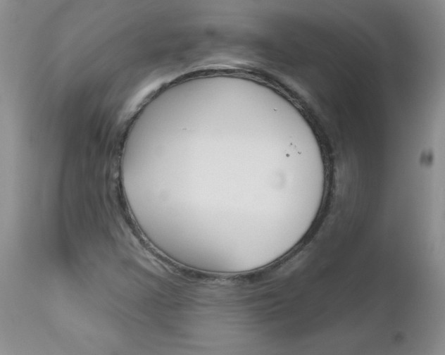 X0000113121355200908281032