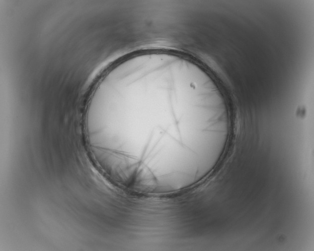 X0000113121356200908281032