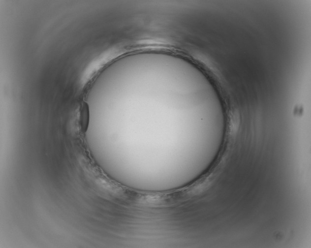 X0000113121357200908281032