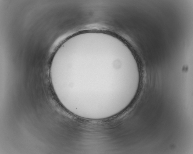 X0000113121358200908281032