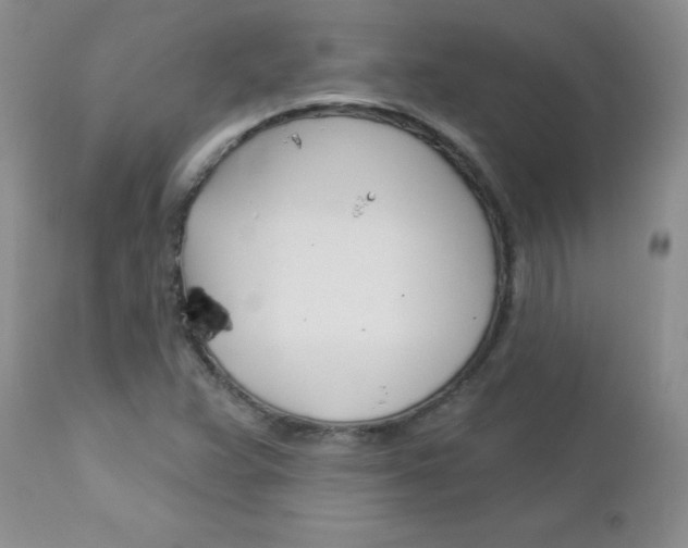 X0000113121359200908281032