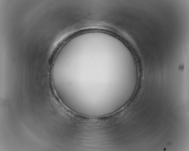 X0000113121360200908281032