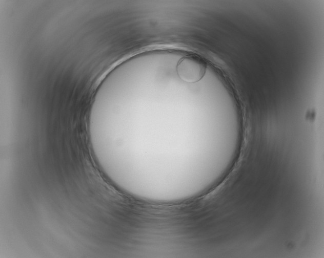 X0000113121361200908281032