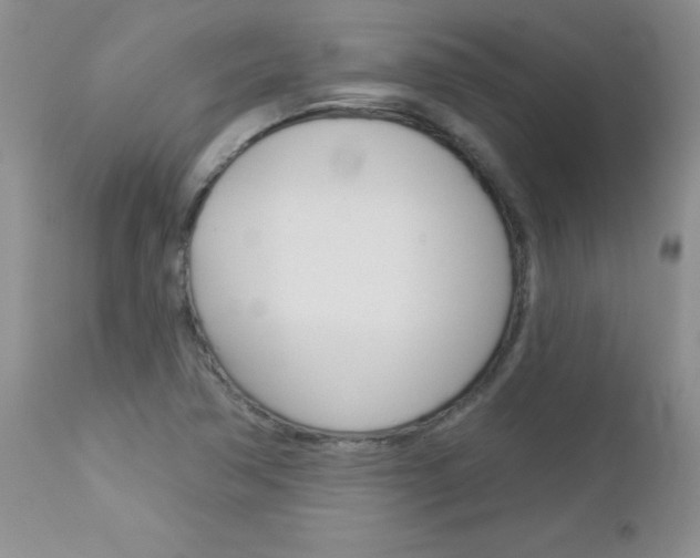 X0000113121362200908281032