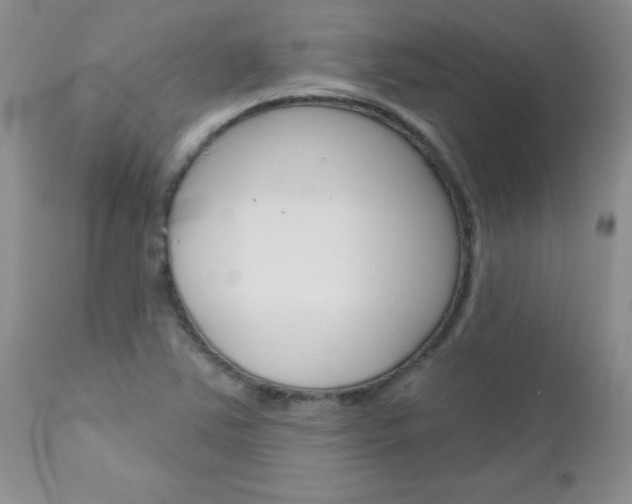 X0000113121363200908281032