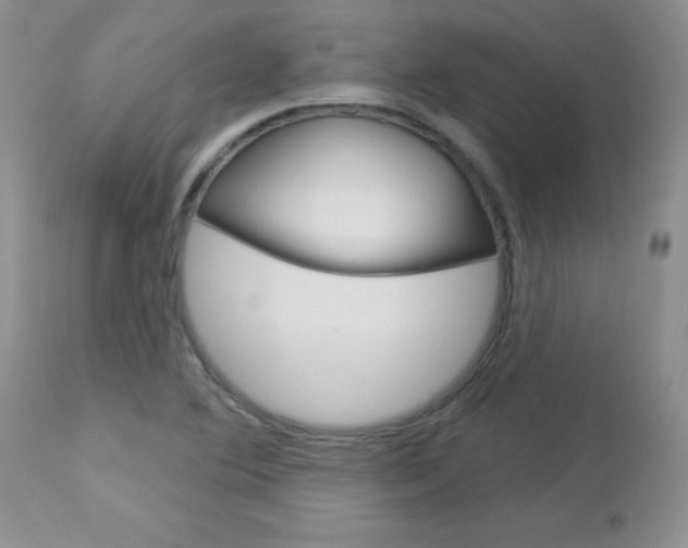 X0000113121364200908281032