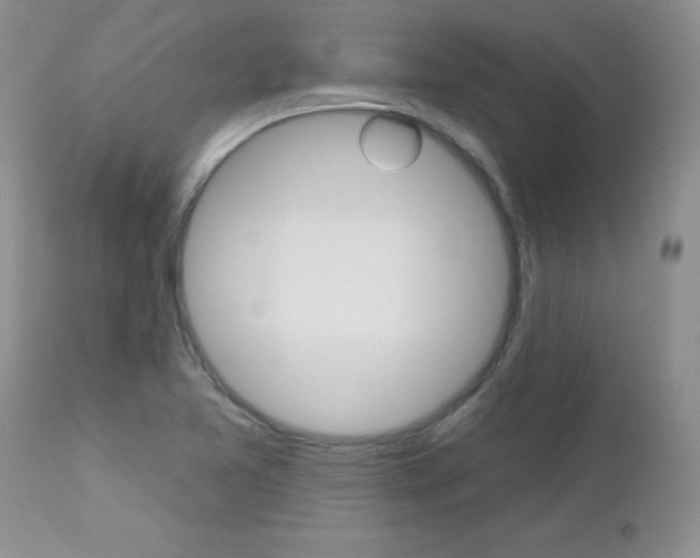 X0000113121365200908281032