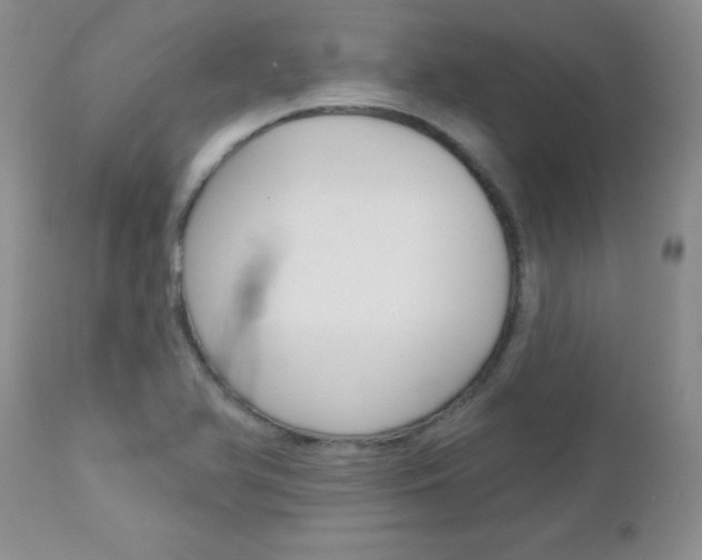 X0000113121366200908281032