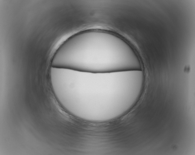 X0000113121367200908281032