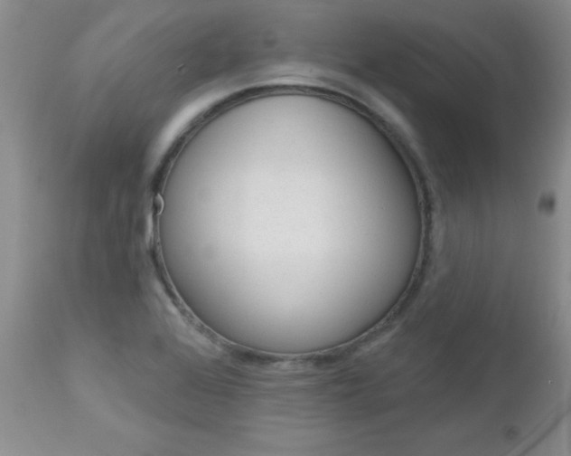 X0000113121368200908281032