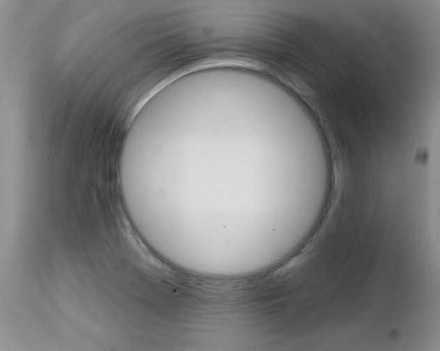 X0000113121369200908281032