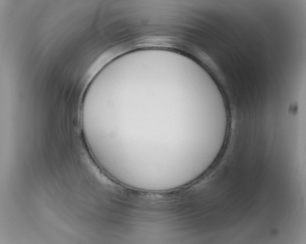 X0000113121370200908281032