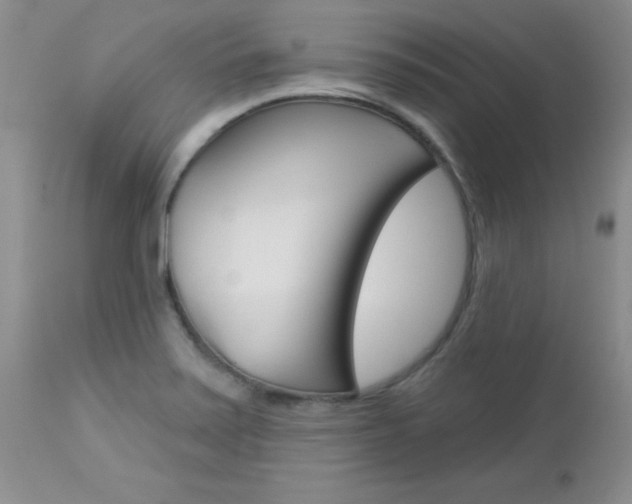 X0000113121371200908281032
