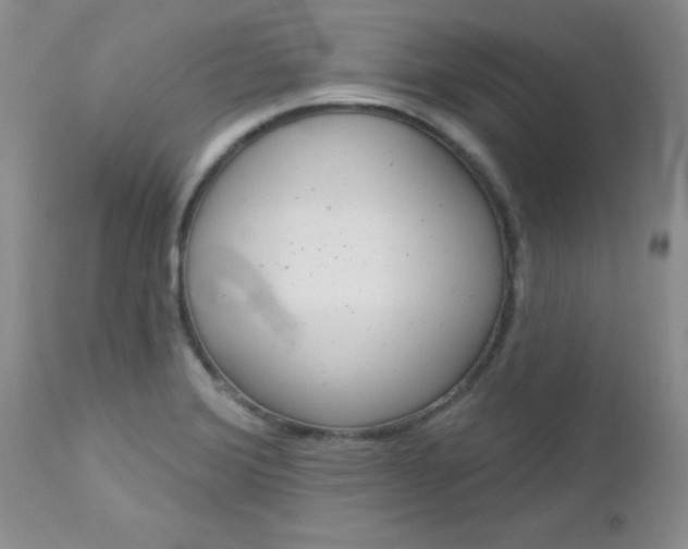 X0000113121372200908281032