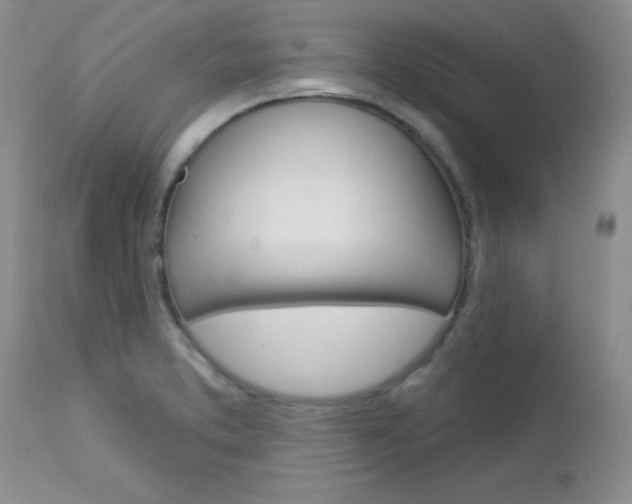 X0000113121373200908281032