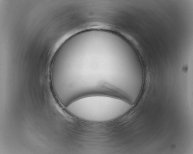 X0000113121375200908281031