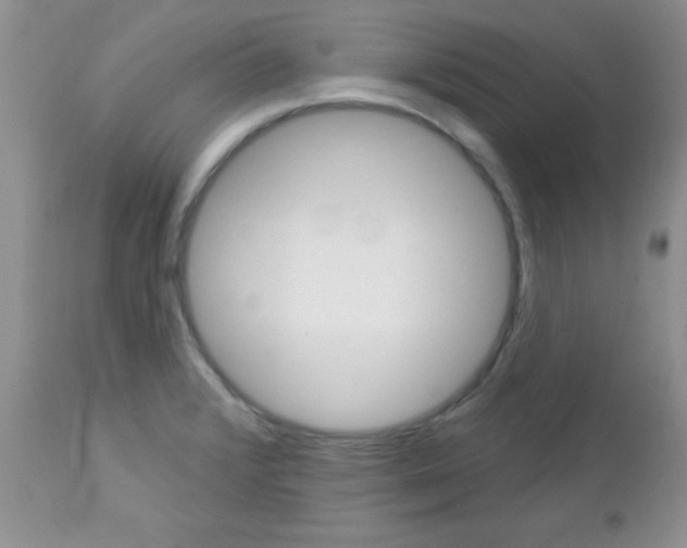 X0000113121376200908281031