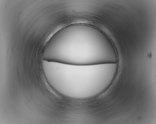 X0000113121377200908281031