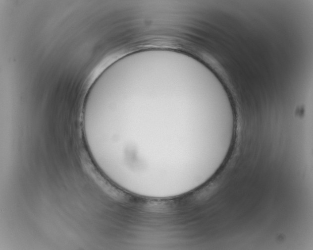 X0000113121378200908281031