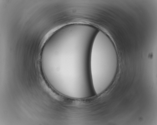 X0000113121379200908281031