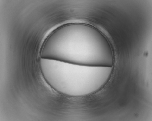 X0000113121380200908281031