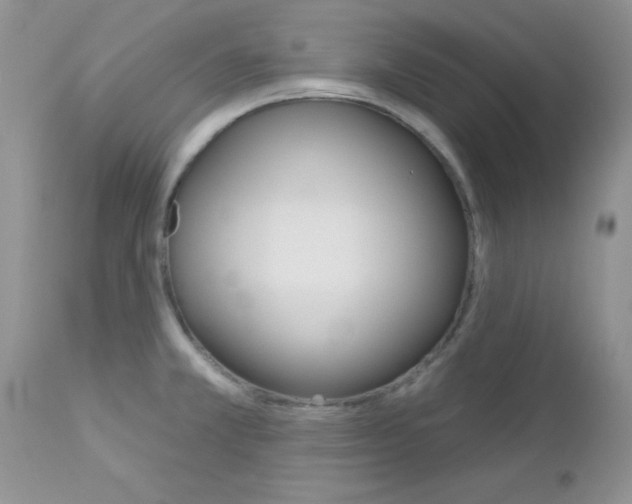X0000113121381200908281031