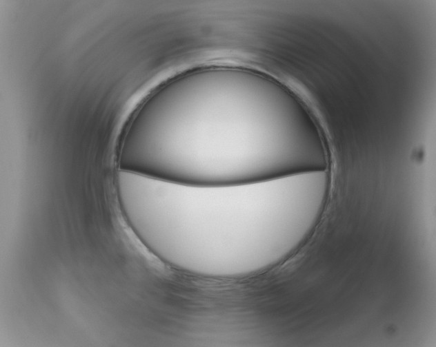 X0000113121384200908281031