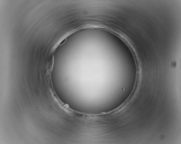 X0000113121385200908281031