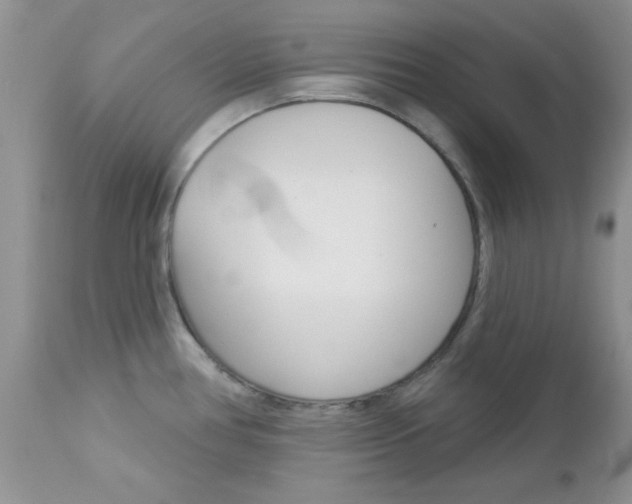 X0000113121386200908281031