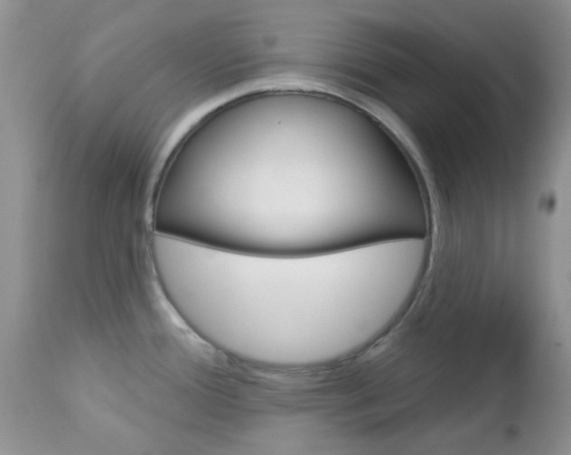 X0000113121388200908281031