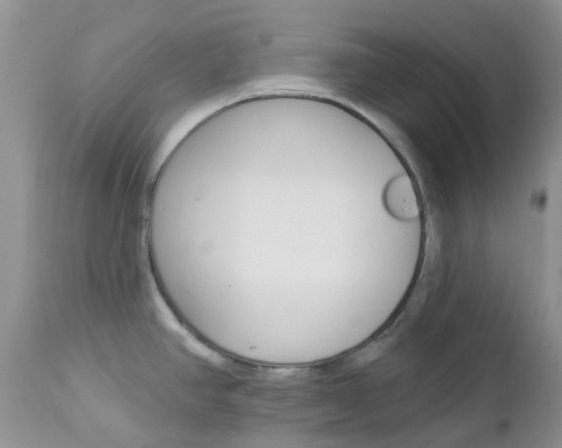 X0000113121390200908281031