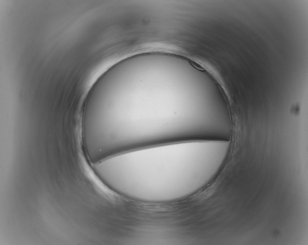 X0000113121391200908281031