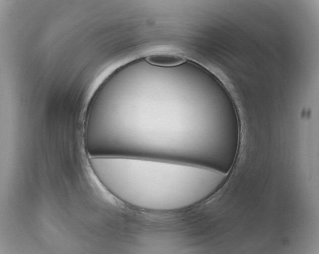 X0000113121392200908281031