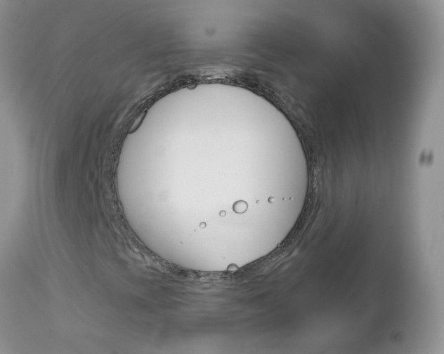 X0000113121393200908281030