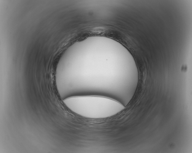 X0000113121394200908281030