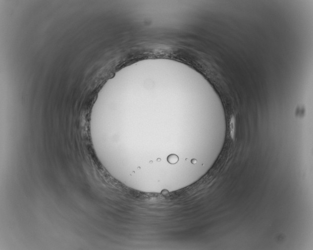 X0000113121395200908281030