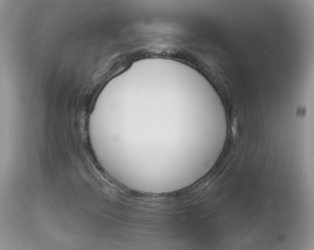 X0000113121396200908281030