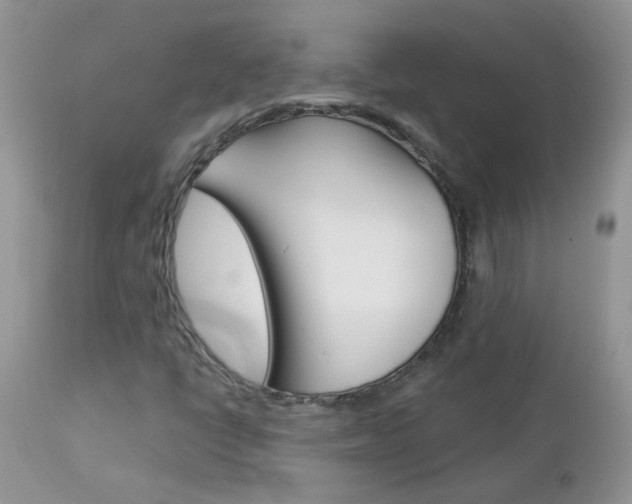 X0000113121398200908281030