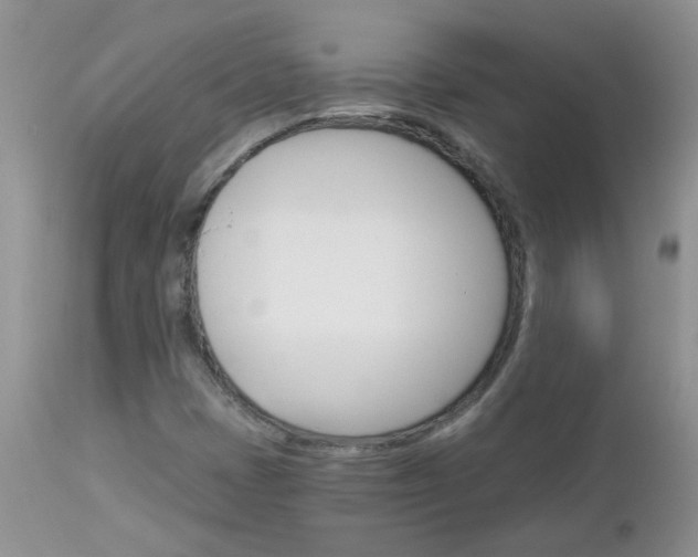 X0000113121401200908281030