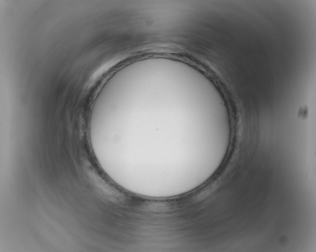 X0000113121402200908281030