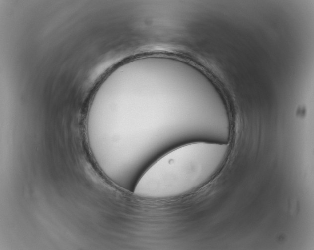 X0000113121404200908281030