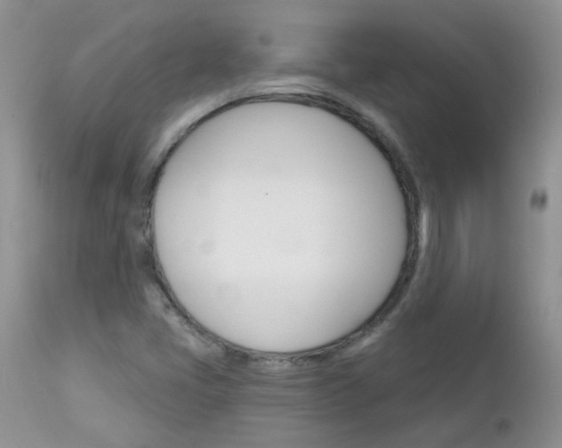 X0000113121405200908281030