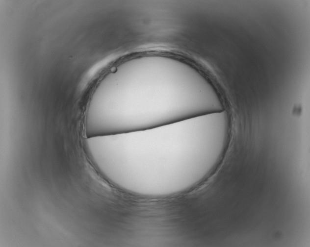 X0000113121406200908281030