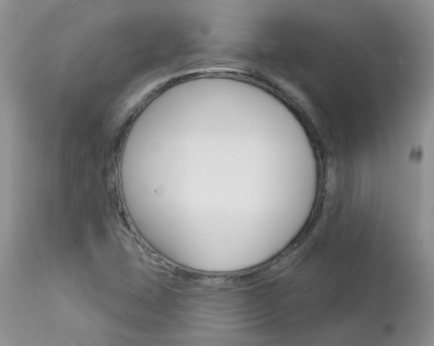 X0000113121407200908281031