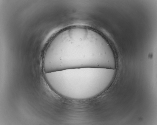 X0000113121408200908281031