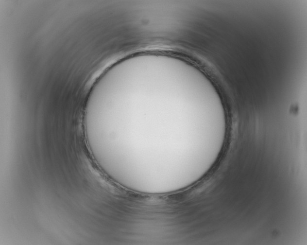 X0000113121409200908281031