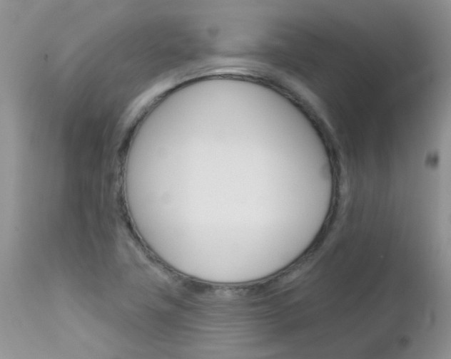 X0000113121411200908281031