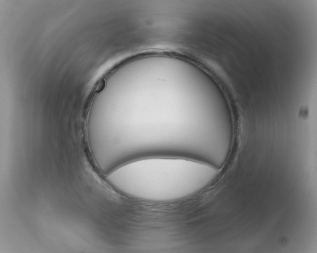 X0000113121412200908281031