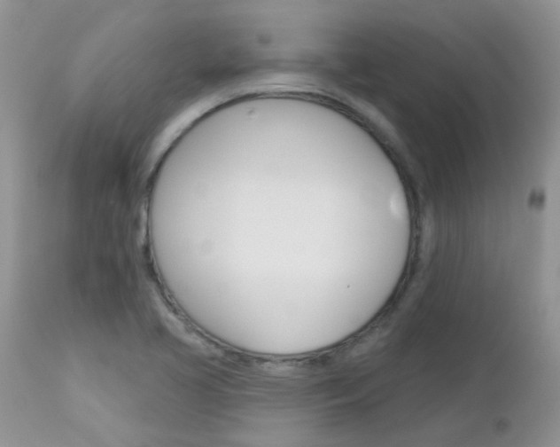 X0000113121413200908281031