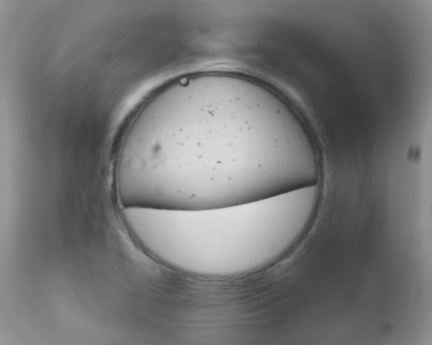 X0000113121414200908281031